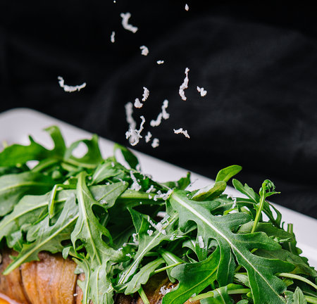 Baked eggplant with arugula and grated parmesan cheeseの写真素材