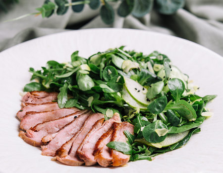pieces of fillet of duck with saladの写真素材
