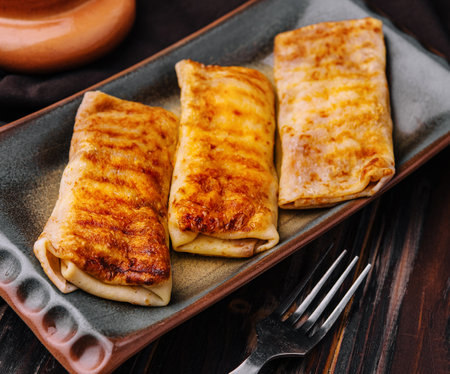 Fried pancakes twisted with meat inside on a plateの写真素材