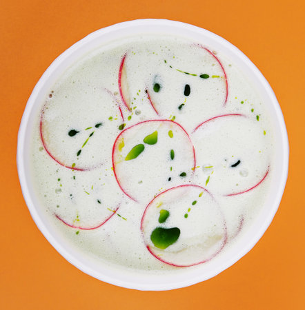 Summer yoghurt cold soup with radishの写真素材