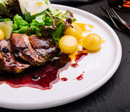 Modern style gourmet duck breast filet with salad and cranberry relish offeredの写真素材