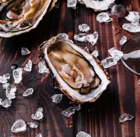 Fresh oyster with ice cubes close upの写真素材