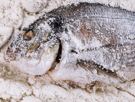 Preparing salt-baked dorada fish top viewの写真素材