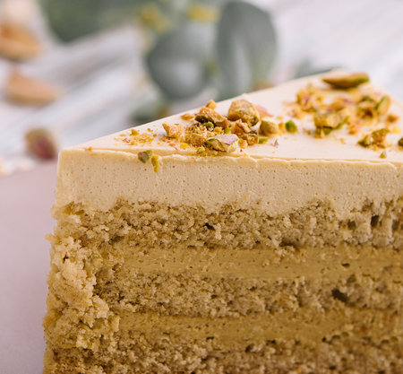 Vegan cake with matcha and pistachioの写真素材