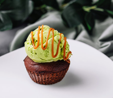 Chocolate fondant with pistachio ice creamの写真素材