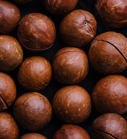 Macadamia nuts close up. Macadamia nuts backgroundの写真素材