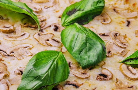 Mushroom pizza with cheese and basil close upの写真素材
