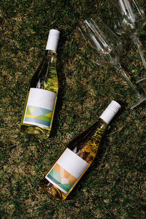 Two wine bottles with wine glasses scattered on a sunny grass patch, picnic vibesの写真素材