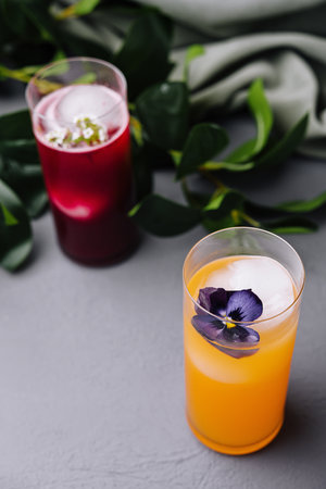 Artistic presentation of two colorful cocktails adorned with edible flowers, set against a chic gray surfaceの写真素材
