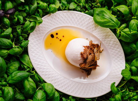poached egg with truffle shavings served on a bed of fresh basil leavesの写真素材