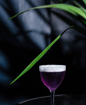 Stylish purple cocktail in a classic glass, set against a moody, dark backdrop with green plant accentsの写真素材
