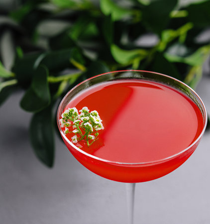 Vibrant red cocktail in a stemmed glass, adorned with white flowers, presented on a sleek surfaceの写真素材