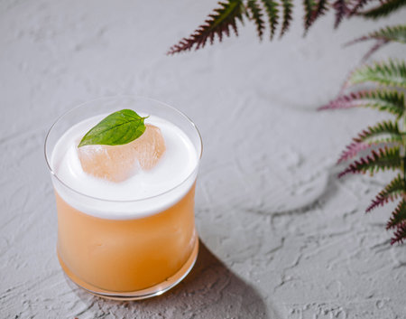 Elegant orange cocktail adorned with a mint leaf, next to fern leaves on a textured surfaceの写真素材