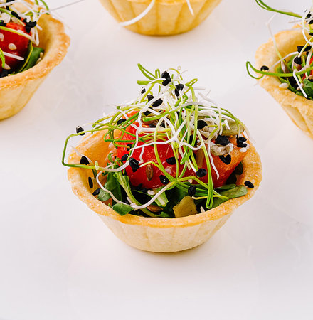 Elegant canapの写真素材