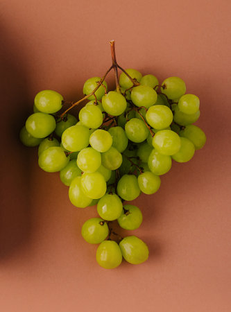 Bunch of fresh green grapes hanging on a brown background, creating a minimalist and appetizing visualの写真素材