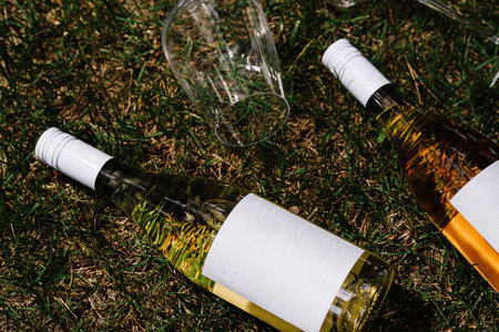 Two wine bottles with blank labels are laying on the grass next to empty wine glasses during a picnicの写真素材