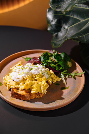 Scrambled eggs with sour cream and herbs sitting on toasted bread are served on a plate with fresh salad for a healthy breakfast or brunchの写真素材