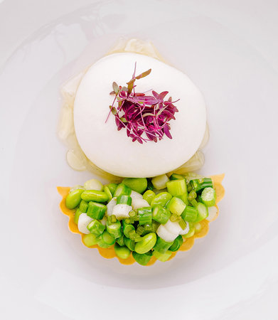 Gourmet appetizer being served on a white plate, featuring a creamy mousse and a fresh vegetable...