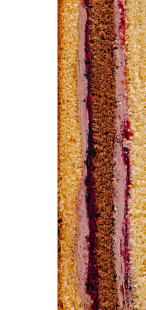 Close-up view of a cake slice is showing the different layers of sponge cake and filling