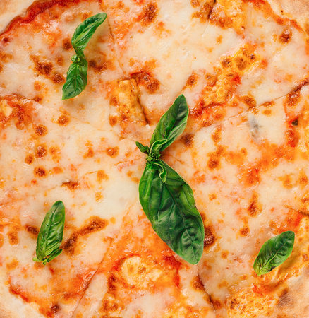 Close-up of a freshly baked pizza margherita with melted mozzarella cheese and basil leavesの写真素材