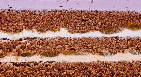 Close up view showing layers of cake and filling with purple frosting