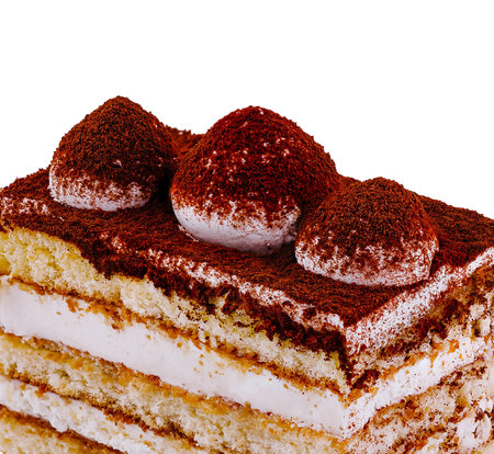 Close-up of appetizing tiramisu cake with cocoa powder on white backgroundの写真素材