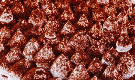 Delicious tiramisu cake surface is covered with cocoa powder, creating a visually appealing culinary...