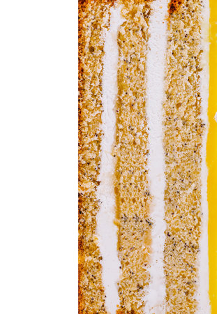 Slice of lemon poppy seed cake is showing the layers of cake and fillingの写真素材