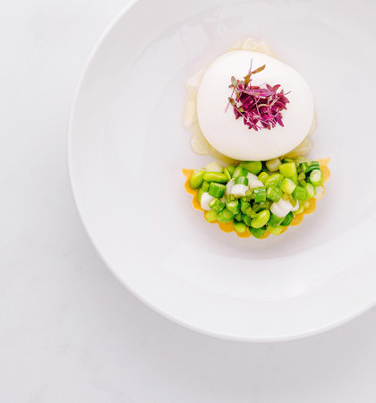 Gourmet appetizer being served on a white plate, featuring a creamy mousse and a fresh vegetable tartletの写真素材
