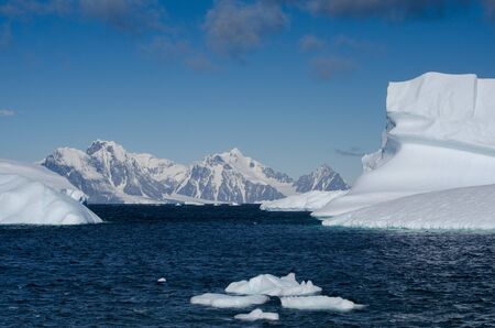 Icebergs at Rothera, Antarctica