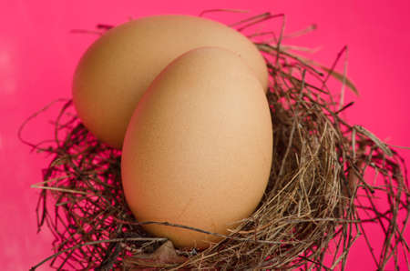 Nest egg on pink background