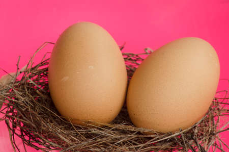 eggs on pink background