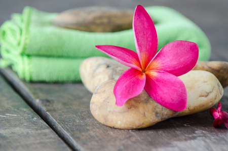 frangipani flower and Fabric with stone, concept of spa, treatment, relaxation and natureの写真素材