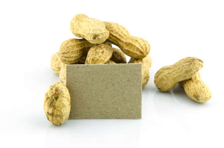 peanut on isolate background, food and vegetarian