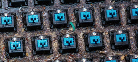 Very dirty keyboard. Dog hair, breadcrumbs and dust accumulated under the keys. Mechanical keyboard...