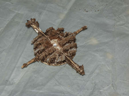 Close-up of a very dirty kitchen exhaust fan. Fan before preventive cleaning and washing. Dirty details.の写真素材