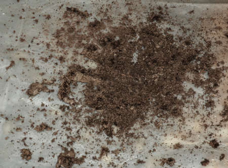Dry dirt and dust cleaned from a kitchen exhaust fan. close-up. Air purification concept.の写真素材