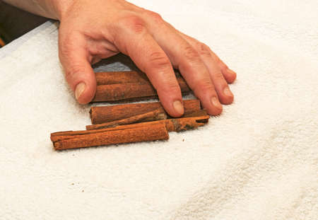 A female hand holds cinnamon sticks for preparing a tea mixture. Cinnamon sticks on a white cloth. Healthy food concept.の写真素材