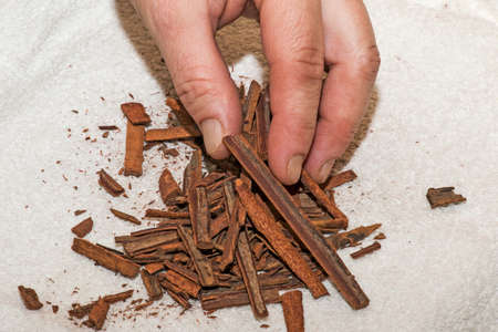 A female hand holds pieces of cinnamon sticks for preparing a tea mixture. Cinnamon sticks on a white cloth. Healthy food concept.の写真素材