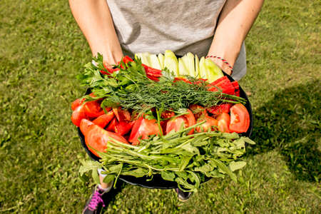 Vegetable salad - tomatoes, cucumbers, bell peppers and parsley. In a plate in the hands of a girl in nature.の写真素材