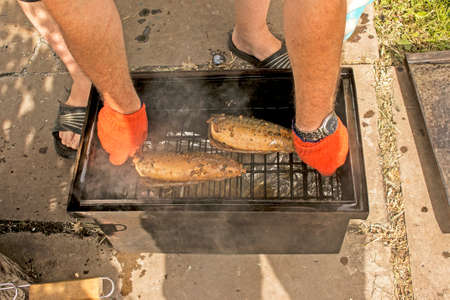 Mackerel fish in a marinade on a grill in a smokehouse. The process of cooking hot smoked mackerel.の写真素材