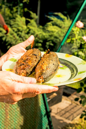 The hands of a middle-aged woman hold a dish with hot-smoked mackerel fish. The fish is ready. The process of cooking hot smoked mackerel.の写真素材
