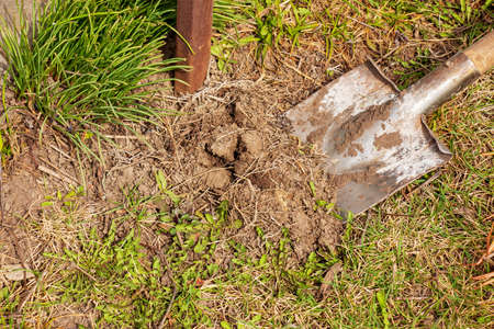 Old dirty shovel in the ground in the garden. garden tools and equipment. The concept of gardening in summer or spring.の写真素材