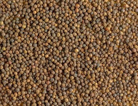 black peppercorns. Aromatic spice for food. Background of dry black pepper seeds.の写真素材