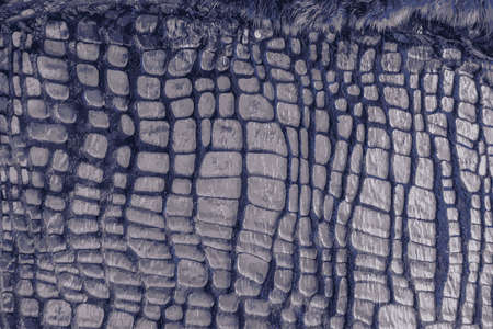 Realistic illustration of fur texture top view. blue fur background. fur pattern. Texture of dark blue smooth fur with a pattern.の写真素材