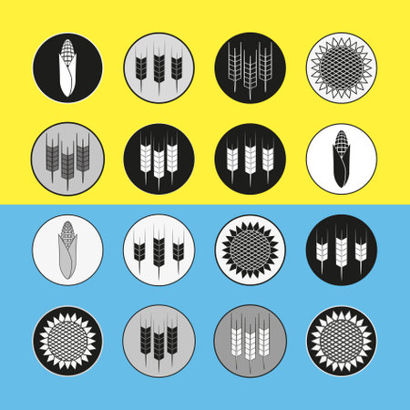 Wheat, corn and sunflower icons set. Illustration. Icons on the yellow-blue flag of Ukraine.のイラスト素材