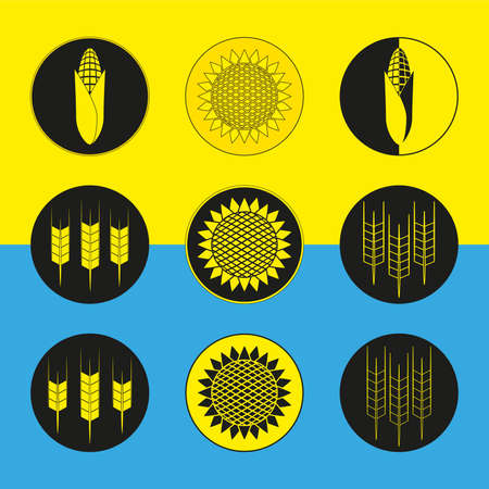 Wheat, corn and sunflower icons set. Illustration. Icons on the yellow-blue flag of Ukraine.のイラスト素材