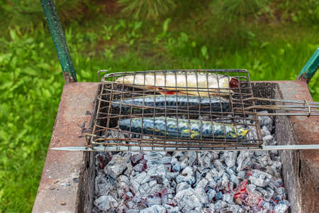 The process of cooking mackerel fish in a marinade on the grill. The fish is fried on hot coals.の写真素材