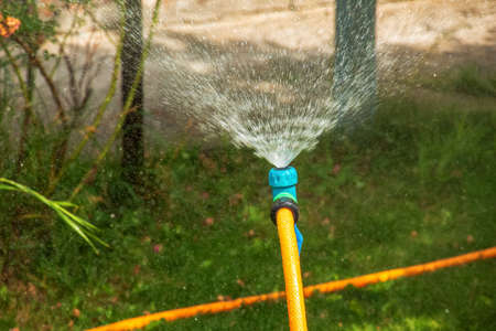 Automatic sprinkler system watering the lawn on a bakround of green grass. close-up. gardening and...