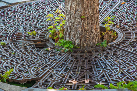 Metal drainage grate on the sidewalk around a tree in Slovakia.の写真素材